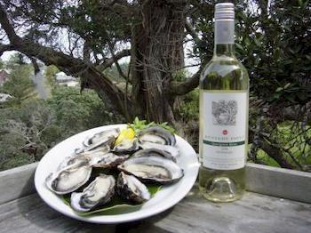 Waiheke Island Vineyard Holiday Houses Surfdale Bagian luar foto