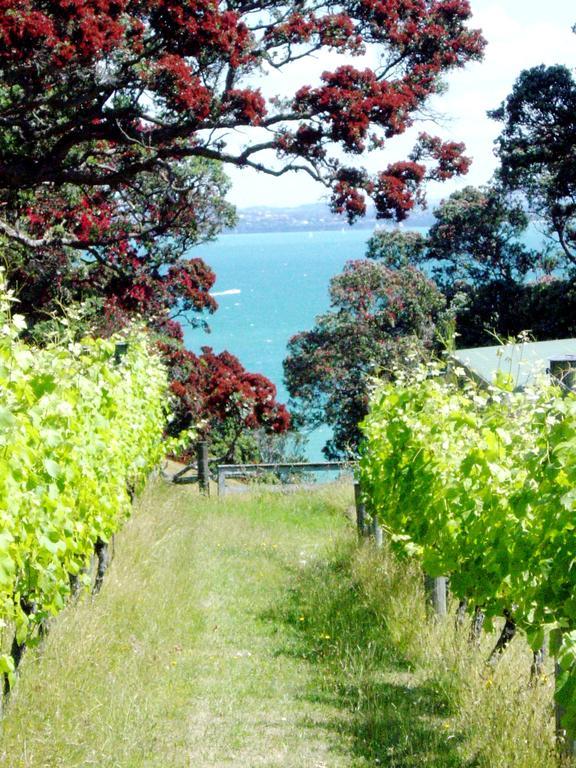 Waiheke Island Vineyard Holiday Houses Surfdale Bagian luar foto